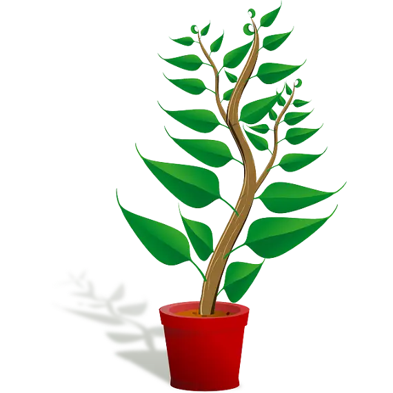 Plante illustrasjon for organisk vekst